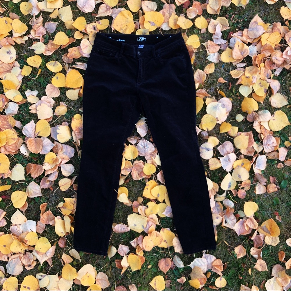 Loft velour pant